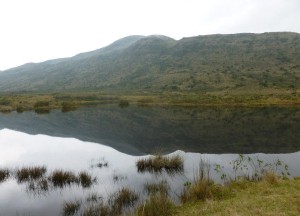 Laguna de Teusacá.