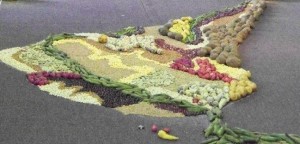 Obra de arte del Abya Yala con productos del campo.